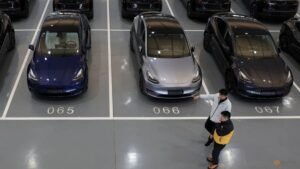 Millions of Teslas recalled in China over door handle safety