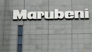 Marubeni boosts investment, shareholder returns after strong earnings