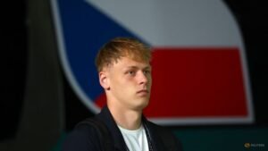 Newcastle sign Czech goalkeeper Hornicek from Braga