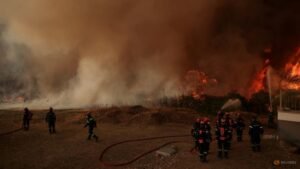Wildfire flares up again in Greece as water bombers deployed