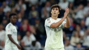 Fulham sign Gonzalo, Palacios from Real Madrid