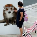 Bezos Earth Fund, Re:wild launch $200 million drive to save species from extinction