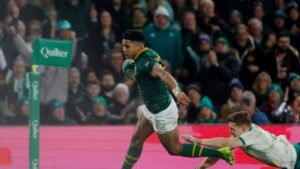 Brotherly love abounds for brutal Springboks ahead of Argentina test