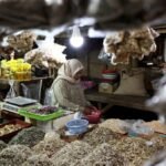 Indonesian economic growth slows to 5.3% in Q2, but beats forecast