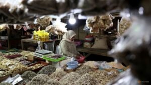 Indonesian economic growth slows to 5.3% in Q2, but beats forecast