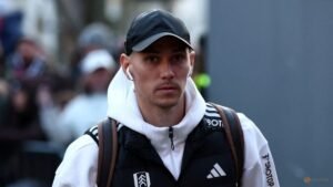 Promoted Ipswich sign Serbian Lukic from Fulham