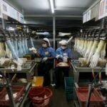 Malaysia’s June industrial production up 6.5%, below forecast