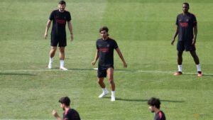 PSG sign Spain forward Torres from Barcelona