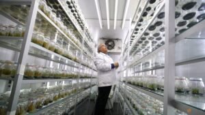 Chile-led team maps Antarctic plant genome in a step towards climate-resilient crops