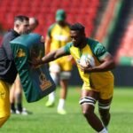 Springboks wait on Kolisi, Nche fitness ahead of first All Blacks test
