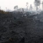 Rainfall aids fight against Belgium’s biggest wildfire, as blazes rip through Europe