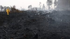 Rainfall aids fight against Belgium’s biggest wildfire, as blazes rip through Europe