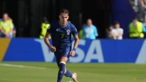 Newcastle sign Bosnian defender Dedic from Benfica