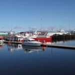 Trump’s Greenland threats cast a shadow on Iceland’s vote on whether to trigger EU membership talks