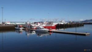 Trump’s Greenland threats cast a shadow on Iceland’s vote on whether to trigger EU membership talks