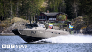 Swedish military seeks to take over Russian-owned estate near naval base