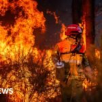 Hundreds arrested over French wildfires, but who is to blame?