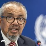 Ebola outbreak on track to be deadliest ever, WHO chief says