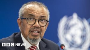 Ebola outbreak on track to be deadliest ever, WHO chief says