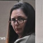 Mushroom murderer Erin Patterson is appealing – here’s what you need to know