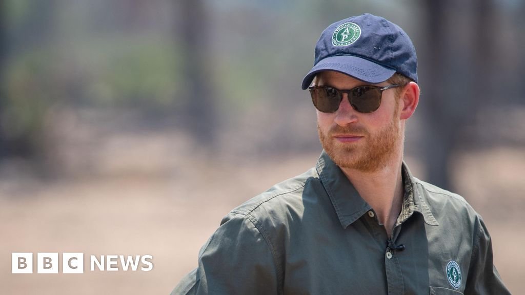 Prince Harry steps down from African Parks charity board