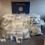 Meath and Louth: Drugs worth €8.5m seized during garda operation