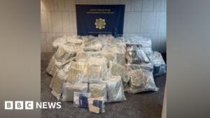 Meath and Louth: Drugs worth €8.5m seized during garda operation