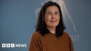 Greenland says findings on forced contraception genocide allegation not final