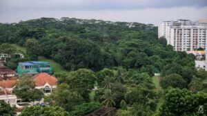 More greenery retained, fewer homes planned for Maju Forest, Gillman Barracks sites after public feedback