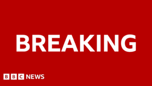 Mountaineer Nirmal Purja killed in Pakistan avalanche, his company says