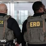 ICE equipping agents with gloves that deliver electric shocks