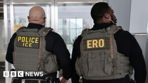 ICE equipping agents with gloves that deliver electric shocks