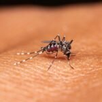How climate change is reshaping Africa’s malaria risk