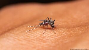 How climate change is reshaping Africa’s malaria risk