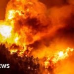 Dozens injured and thousands evacuated in Croatia wildfire