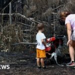 France wildfires reveal hundreds of WW2 shells in village