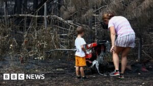 France wildfires reveal hundreds of WW2 shells in village