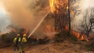 The economic toll of Spain’s wildfires