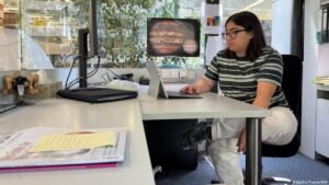 Germany weighs the future of minijobs