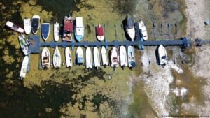 The Danube is drying up: Drought paralyzes Europe’s lifeline