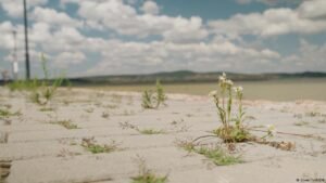 Is Hungary’s third-largest lake drying up?
