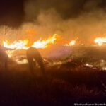 Indonesia: Mount Bromo wildfire grows, spurs park closure