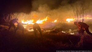 Indonesia: Mount Bromo wildfire grows, spurs park closure