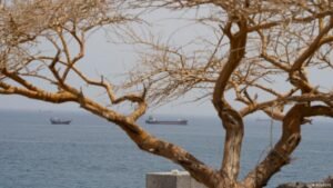 Middle East: No talks or conversations with Iran, Trump says