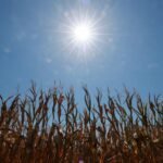 Europe braces for next heat wave