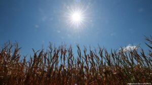 Europe braces for next heat wave