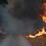 What to do when wildfires trigger trauma