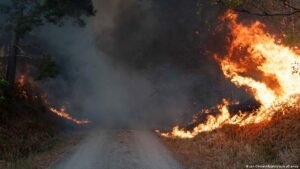 What to do when wildfires trigger trauma