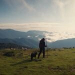 A dream job as a shepherd? Life on a French alpine pasture