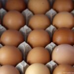 US: 19 million eggs recalled over Salmonella risk